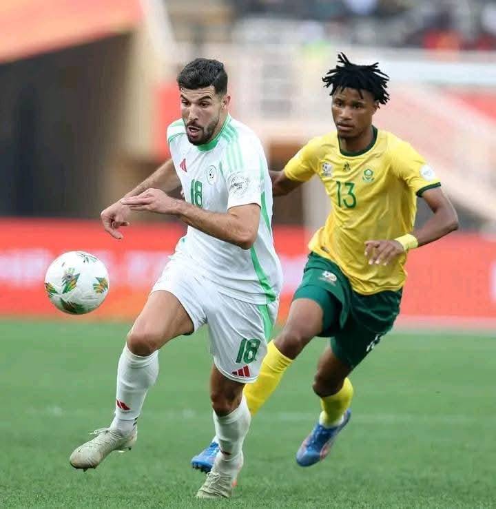/medias/الجزائر-1-جنوب-افريقيا-1.jpg